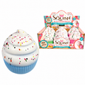 Giant Squishy Cupcake